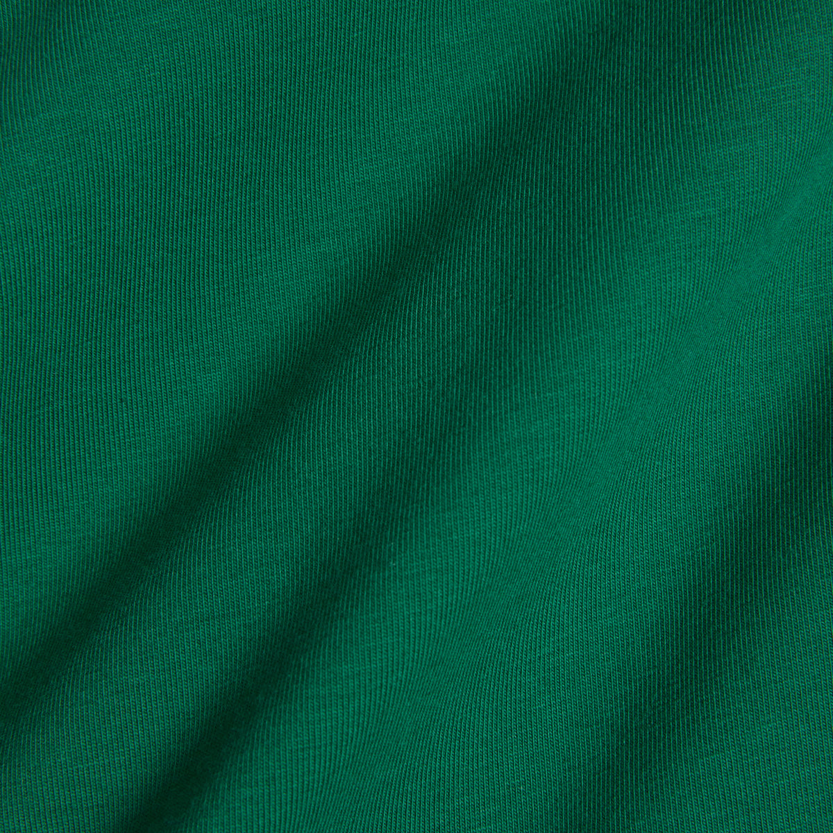 Iconic Briefs - Garland Green