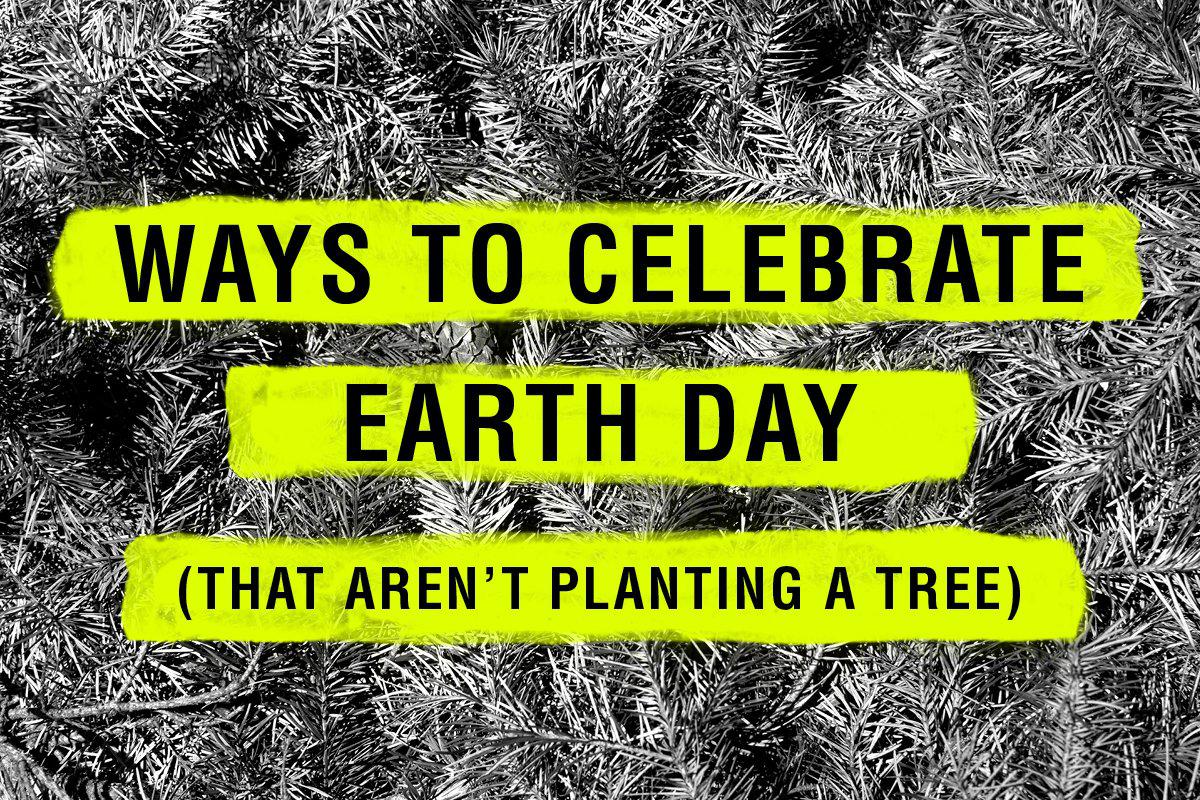 How We’re Celebrating Earth Day | TomboyX