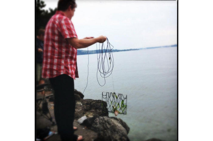 CamJams – Sweet Dreams Are Made of This