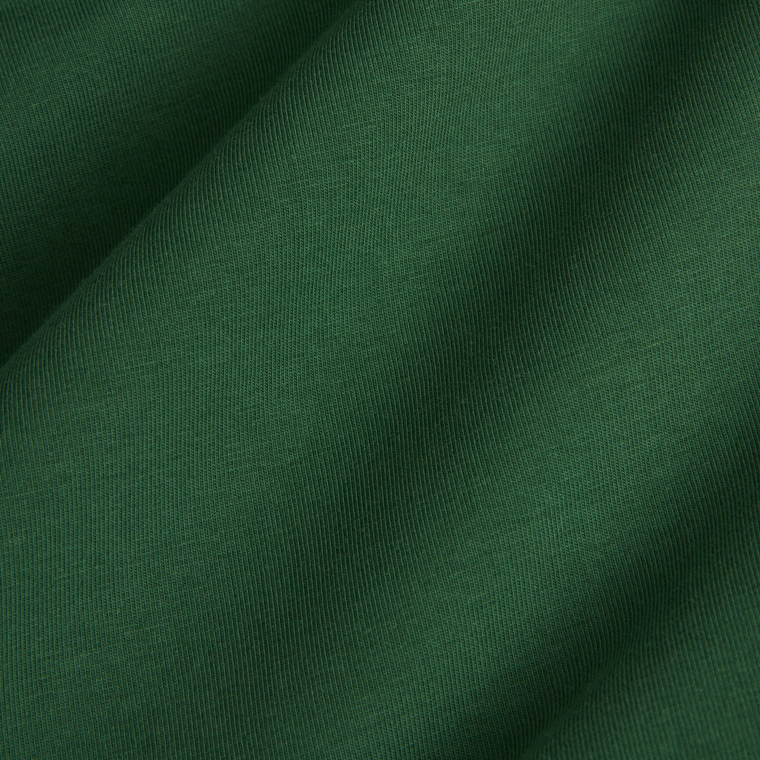 Iconic Briefs - Evergreen