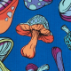 Funky Fungi