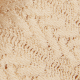 Sandshell